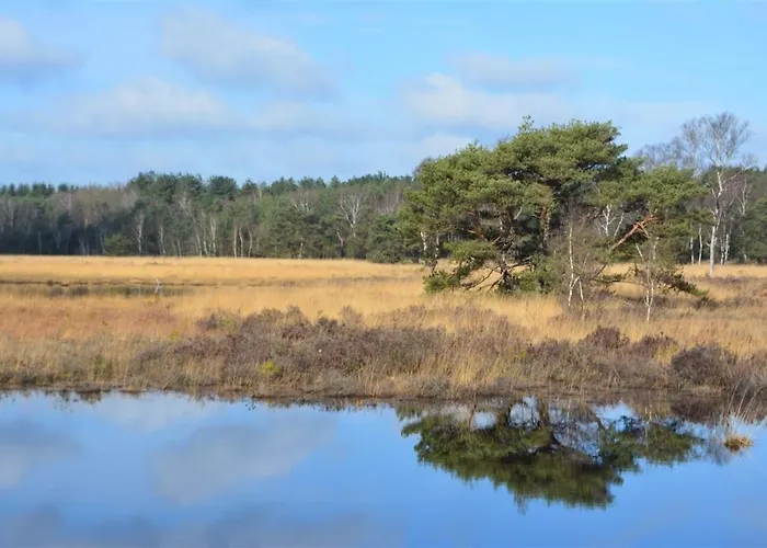 Casa vacanze Landhuisje Met Wellness