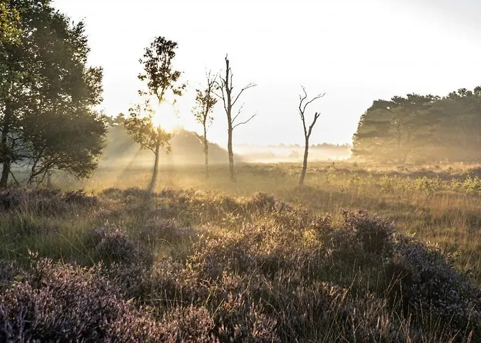 Ferienhaus Landhuisje Met Wellness Netersel